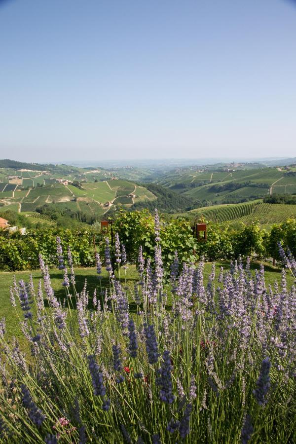 Agriturismo La Torricella Monforte dʼAlba Eksteriør bilde
